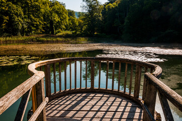 Arlesheim, Ermitage, Weiher, Seerose, See, Holzsteg, Baselland, Waldweg, Wanderweg, Spazierweg,...