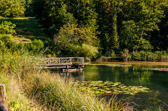 Arlesheim, Ermitage, Weiher, Seerose, See, Holzsteg, Baselland, Waldweg, Wanderweg, Spazierweg, Ausflugsort, Kraftort, Karpfen, Karpfenweiher, Sommer, Schweiz