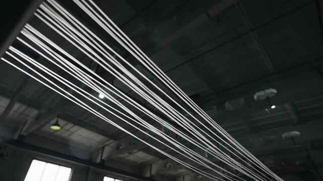 Extrusion production of plastic compounds. The strands are cooled before pelletizing.