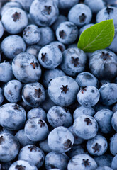 Blueberry background. Sweet fruits closeup. Top view