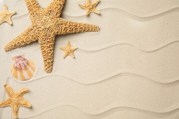 Fototapeta na wymiar Beautiful sea stars and shell on sand, flat lay. Space for text