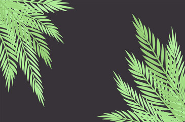 Fototapeta na wymiar Palm tree corner on dark background, copyspace for tropical themed decor. Green tropical leaves, jungle hawaiian branches, plant, greenery flora decorative elements island party. Vector illustration