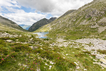 valle