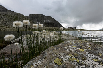 Lago e Rifugio Tonolini - Adamello