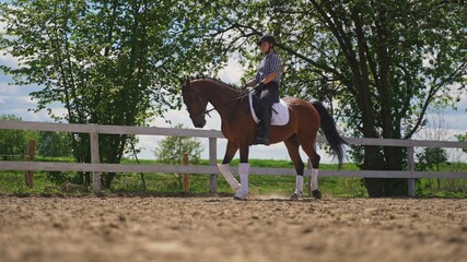 a young girl with a helmet on her head in a plaid shirt rides a brown horse under a tree canopy. High-quality photo