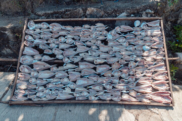 Dried Fish That Is Drying In Under The Sun In Talisayan, East Kalimantan, Indonesia