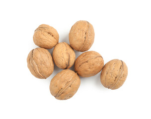 Whole walnuts in shell on white background, top view