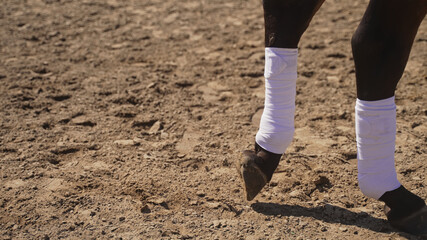 two dark legs with canvas corsets on the ground in nature. High-quality photo
