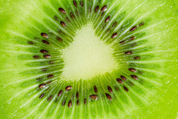 Kiwi Macro,slice of kiwi fruit on a full frame. horizontal format