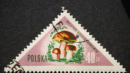 POLAND-CIRCA 1959 : A post stamp printed in Poland showing a Mushroom Boletus edulis