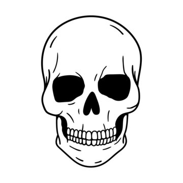 Skull. Halloween. Line vector illustration. Isolated on white background.