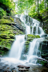 Obraz premium Beautiful milky and high waterfall in the forest. The waterfall is surrounded by forest, trees, grass. Landscape with a waterfall for wallpaper, magazines, travel.
