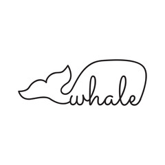 whale, vector