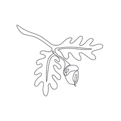Oak branch with acorn drawn in one line. Floral sketch. Continuous line drawing autumn leaves. Vector illustration in minimal style. © Nataliya