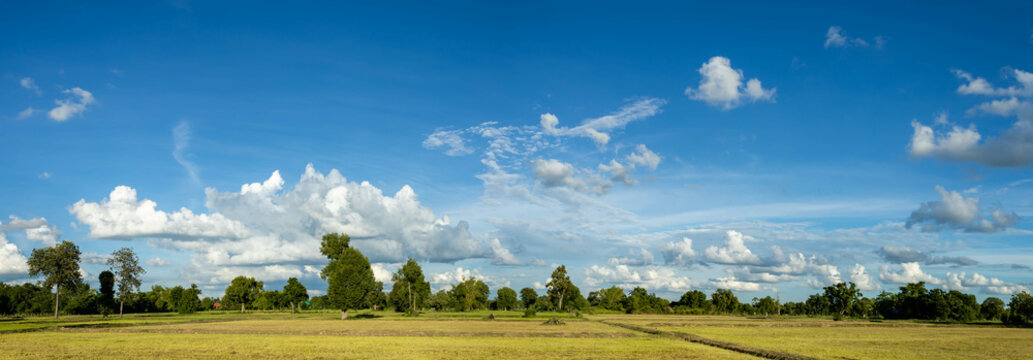 Panorama photos nature sky background daytime sky with clouds in the rainy season over the field