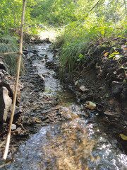 NatureBoy. Kraft der Natur