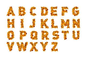 Autumn alphabet. Letters made of yellow, red, and green leaves. For school.