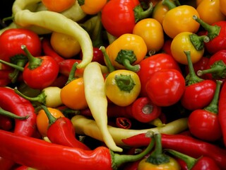 various,multicolor fruits of pepper vegetable for cooking or salads close up