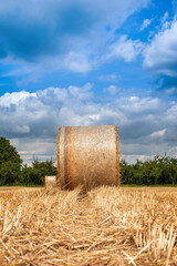 Round bale of straw rolled up on field