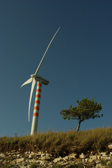 Park with wind turbines to produce electricity by exploiting the power of the wind.