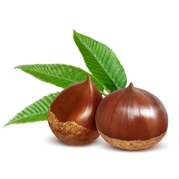 677 件の最適な 甘栗 画像 ストック写真 ベクター Adobe Stock