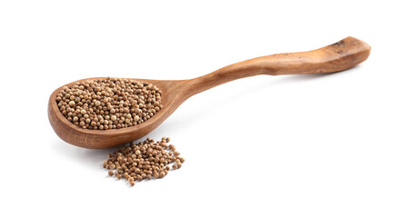 Dried coriander seeds with wooden spoon on white background