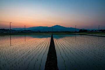 日本の田園風景