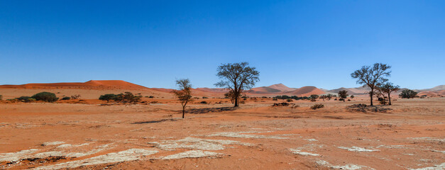 Fototapeta premium Dunes in the Namib Desert / Dunes in the Namib Desert, Namib Naukluft National Park, Namibia, Africa.