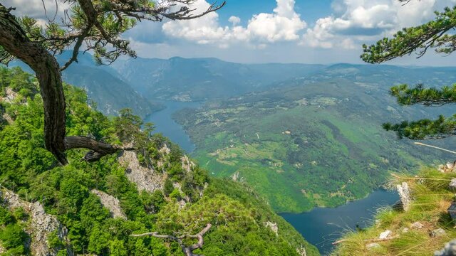 Trees on the Banjska stena rock at Tara mountain looking down to Canyon of Drina river in Serbia. Timelapse 4K.