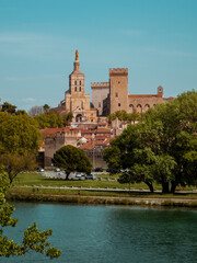 View of Avignon Cathedral. Avignon, Provence, France