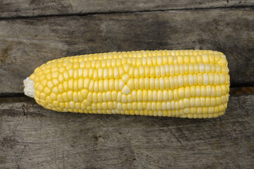 DELICIOSO MILHO VERDE 