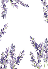 Beautiful lavender frame with watercolor twigs, flowers. Violet border illustration for wedding invitation, greeting card, bridal shower, baby shower.