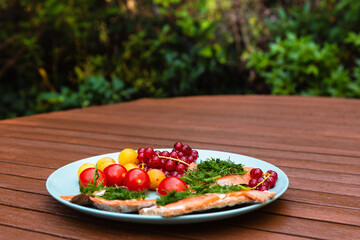 Colorful healthy light meal outdoor while working from home. Low fat organic trout sandwiches with...