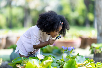 A curly-haired girl looks at a lotus flower with a magnifying glass.