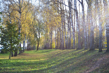 Warm autumn day in the city park. Autumn background.