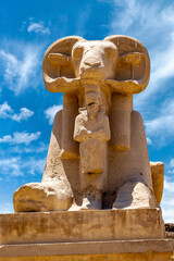 Sheep-headed sphinx in the temple of Karnak in Egypt