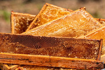 pile of wooden frames with empty honeycomb, wooden frame of honey combs, close-up