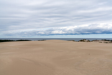Fototapeta na wymiar endless wandering sand dunes in Slowinski National Park on the Baltic Sea in northern Poland