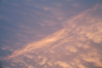 Naklejka na ściany i meble Purple cumulus clouds at sunset