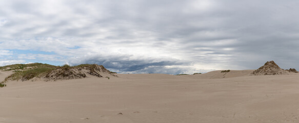 panorama view of endless wandering sand dunes in Slowinski National Park on the Baltic Sea in...