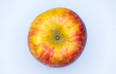 Top View of Honeycrisp apple