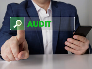 Search AUDIT button. Modern Bookkeeping clerk use cell technologies.