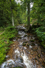 Fototapeta premium Lierbach in the Black Forest, Germany