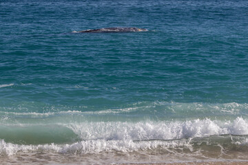 waves on a beach