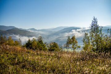 Fototapeta na wymiar morning fog in the mountains in the countryside clear blue sky. Clean air concept.