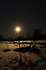 Fototapeta na wymiar The sun in a winter wonderland with snow - Die Sonne im Winterwunderland mit Schnee