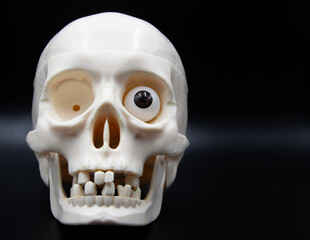 image on a black background of a front white skull with one eye and missing teeth. Empty space next...