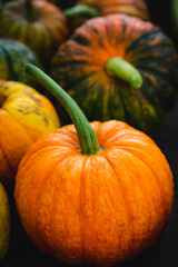Fresh pumpkins just from the garden.