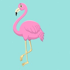 Fototapeta premium pink flamingo bird