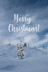 Merry Christmas © Torsten Muehlbacher